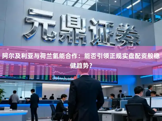 阿尔及利亚与荷兰氢能合作：能否引领正规实盘配资般稳健趋势？
