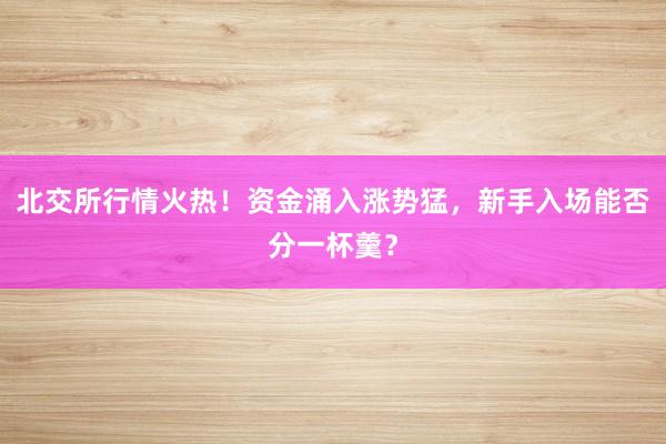 北交所行情火热！资金涌入涨势猛，新手入场能否分一杯羹？