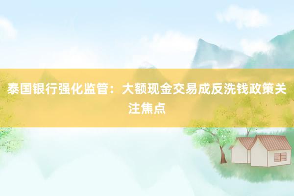 泰国银行强化监管：大额现金交易成反洗钱政策关注焦点