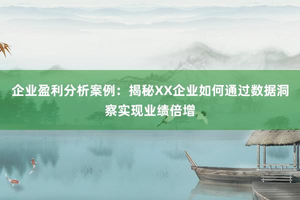 企业盈利分析案例：揭秘XX企业如何通过数据洞察实现业绩倍增