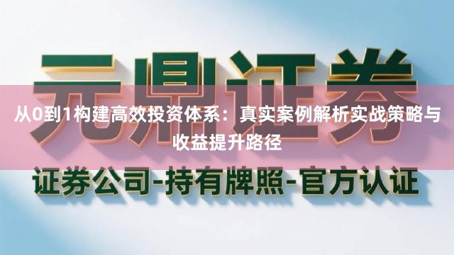 从0到1构建高效投资体系：真实案例解析实战策略与收益提升路径