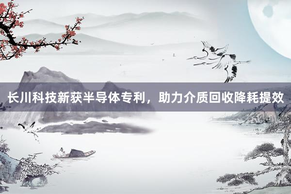 长川科技新获半导体专利，助力介质回收降耗提效