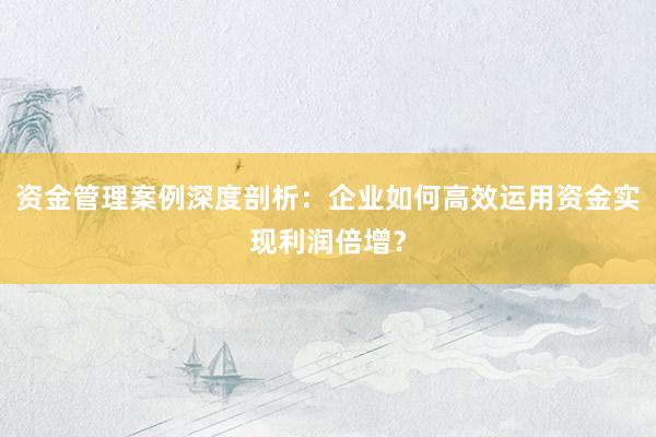 资金管理案例深度剖析：企业如何高效运用资金实现利润倍增？