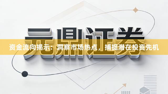 资金流向揭示：洞察市场热点，捕捉潜在投资先机