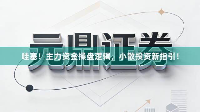 哇塞！主力资金操盘逻辑，小散投资新指引！