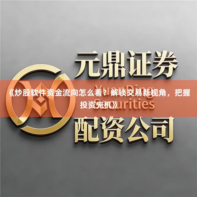 《炒股软件资金流向怎么看？解锁交易新视角，把握投资先机》