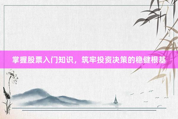 掌握股票入门知识，筑牢投资决策的稳健根基