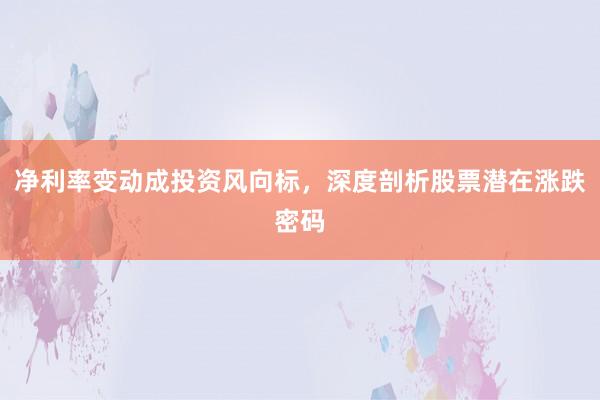 净利率变动成投资风向标，深度剖析股票潜在涨跌密码