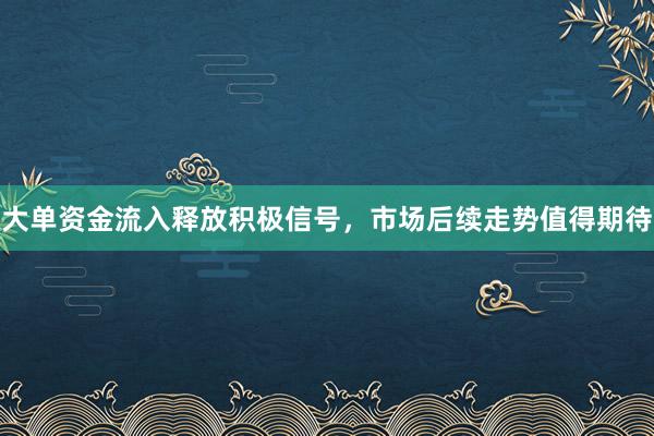 大单资金流入释放积极信号，市场后续走势值得期待
