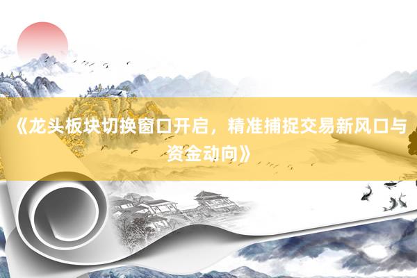 《龙头板块切换窗口开启，精准捕捉交易新风口与资金动向》