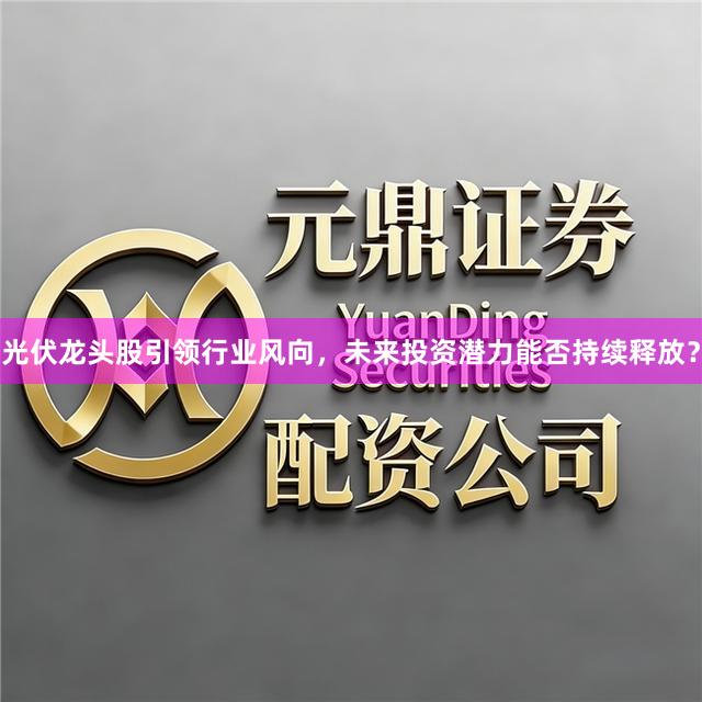 光伏龙头股引领行业风向，未来投资潜力能否持续释放？